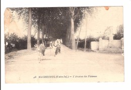 MACHECOUL - L AVENUE DES PLATANES - Machecoul