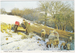 Chawleigh: TRACTOR, FARMER, SHEEP, LAMBS - Winter Scene - (Devon, England) - Traktoren