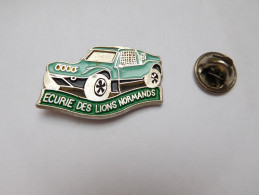 Beau Pin´s , Auto , Rallye , Ecurie Des Lions Normands , ASA Chemins Creux , Buggy - Rallye