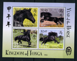 2013 - TONGA  - Mi. Nr. Block 49 - NH - ( **) - (K-EA-361369) - Tonga (1970-...)