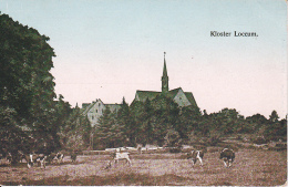 AK Kloster Loccum  (23750) - Nienburg