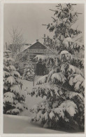 Foto AK Schellerhau Oberer Gasthof Im Winter Bei Altenberg Bärenfels Zinnwald Schönfeld Bärenburg Kipsdorf - Schellerhau