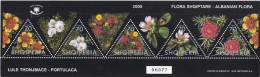 ALBANIA 2005, FLORA, ALBANIAN FLOWERS, COMPLETE, MNH SERIES In GOOD QUALITY, *** - Albania