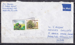 CANADA, 2000, Airmail Cover From Canada To India,  2 Stamps, Fruit, Tree - Storia Postale