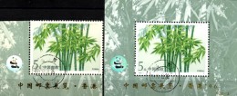 EXPO Hong Kong 1996 Hologramm Pandabär Bambusgewächs China 2482 ER+Block 62 I O 10€ Bambus Panda Overprint Sheet Bf Cina - Usati