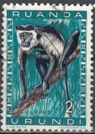 Ruanda-Urundi 1959 Michel 167A O Cote (2005) 0.20 Euro Singe Colobus Cachet Rond - Oblitérés