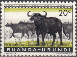 Ruanda-Urundi 1959 Michel 162A O Cote (2005) 0.20 Euro Buffles Noirs - Usati