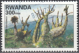 Rwanda 1995 Michel 1468A O Cote (2005) 7.00 Euro Plante Hagenia Abyssinica Cachet Rond - Oblitérés