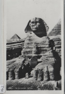 Cairo - The Excavated Sphinx - Sphynx