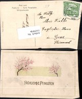 116589,Tolle Präge Litho Pfingsten Strauch 1900 - Pentecôte