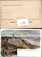 136339,Tolle Litho Zürich Hotel Waldhaus Dolder C. Steinmann Signiert Schweizer Künst - Wald
