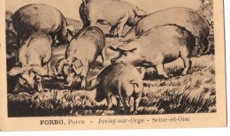 CPA (91), JUVISY-SUR-ORGE, FORBO, Porcs, écrite, Timbre Décollé, Animaux, Cochons - Juvisy-sur-Orge