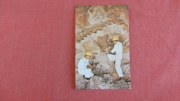 Dinosaur  Technicians At Quarry Utah Colorado  = Ref  2274 - Andere & Zonder Classificatie