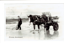 Strand Zandvoort Schelpvisschers Aan Het Strand - Andere & Zonder Classificatie