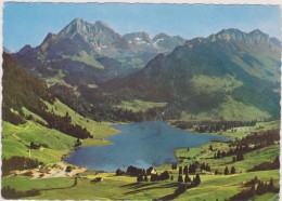 SUISSE,SCHWEIZ,SVIZZERA,SWITZERLAND,HELVETIA,SWISS,FRIBOURG,SCHWARZSEE,lac Noir,lac Naturel,il Y A 50 Ans - Fribourg