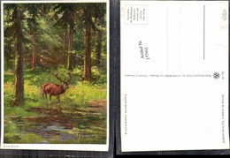 177911,Künstler AK Alfred Mailick Jagd Hirsch Wild Wald - Mailick, Alfred