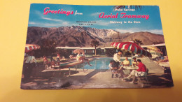 Postcard - USA, California, Palm Springs   (23244) - Palm Springs