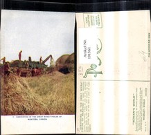 191361,Manitoba Harvesting In The Great Wheat Fields Of Manitoba - Autres & Non Classés