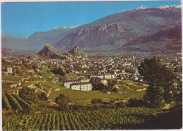 SUISSE,SCHWEIZ,SVIZZERA,S WITZERLAND,HELVETIA,SWISS,VALAIS,SION ,IL Y A 50 ANS,vignoble - Sion