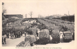 29-SAINT POL DE LEON- LE MARCHE AUX CHOUX FLEURS SUR LA NOUVELLE PLACE - Saint-Pol-de-Léon