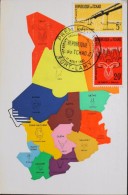 C.P.A.- 1er Jour - République Du TCHAD - Fort Lamy Le 11.08.1961 - T.B.E. - Chad