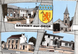 91-SAVIGNY-SUR-ORGE-   MULTIVUE - Savigny Sur Orge