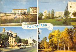 91-MONTGERON- MULTIVUE - Montgeron