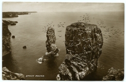 STACK ROCKS - Pembrokeshire