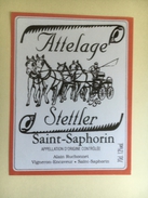 1211 - Suisse Saint-Saphorin Attelage Stettler - Caballos