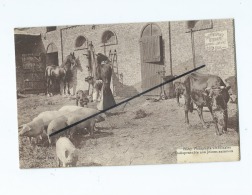 CPA  à Identifier "Panneau Au Mur : Baby Phosphate Vétérinaire -  Beauval (cochon,cheval,vaches ) - Beauval