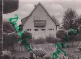 Seesbach, Wald- Und Berghotel "Waldfriede" 1958 - Bad Sobernheim