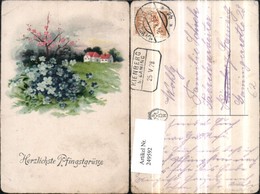 249592,Pfingsten Landschaft Blumen Vergissmeinnicht - Pentecost