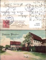 258363,Pfingsten Häuser Straße Gänse - Pentecoste