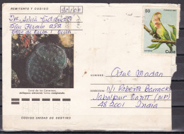 CUBA, Cover From Cuba To India, Coral, Parrot, Birds - Covers & Documents