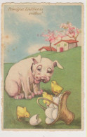 Chiostri.Bonzo Dog With Chickens.Ballerini & Fratini  Edition Nr.234 - Chiostri, Carlo