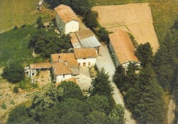 81  MONTREDON LABESSONNIE - Notre Dame D'Hauterive , Tél  63 75 14 23 - Montredon Labessonie