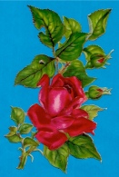 Chromo DECOUPI - Rose Rouge, Feuillage Et Boutons... - Roses - Fleurs - Flowers ° Gaufré Embossed - Fiori