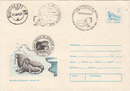 ROMANIAN ARCTIC EXPEDITION, GREENLAND, WHALE, WALRUS, COVER STATIONERY, ENTIER POSTAL, 1994, ROMANIA - Arctische Expedities