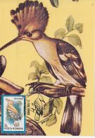 BIRDS, HOOPOE, CM, MAXICARD, CARTES MAXIMUM, 1992, ROMANIA - Piciformes (pájaros Carpinteros)