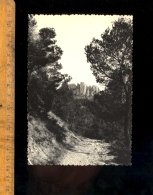BEAUMES DE VENISE Vaucluse 84 : Un Chemin Devant La Montagne 1959 - Beaumes De Venise