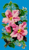 Chromo DECOUPI - Fleurs Flowers ° Gaufré Embossed - Fiori