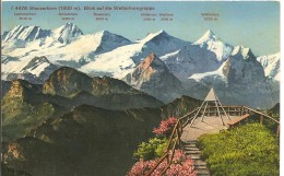 Schweiz, 1936, Stanserhorn, Panorama, Nach Oftringen, Siehe Scans! - Trin