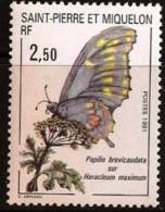 SAINT PIERRE ET MIQUELON Papillon (yvert N° 534) PAPILIO BREVICAUDATA Neuf Sans Charniere. MNH - Papillons