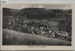 Teilansicht Von Feuerbach Im Schwarzwald Bei Kandern - Kandern