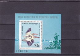 BIRDS PELICANS,1980,MNH **,BLOCK,ROMANIA. - Pélicans