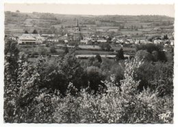 65 - Hautes Pyrénées /  GALAN : Vue Générale. - Galan