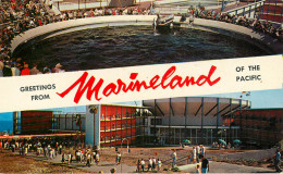 Etats-Unis - California - Los Angeles - Greetings From Marineland Of The Pacific - état - Los Angeles