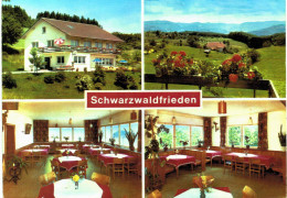 Allemagne - Biederbach Selbig Höhencafé Pension Schwarzwalfrieden - Elzach