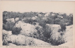 Carte Postale Ancienne,02,aisne,CRAONNE , EN 1900,PICARDIE,RUINE,LIEU MYTIQUE POUR NAPOLEON 1 - Craonne