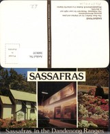 360610,Australia Dandenong Ranges Sassafras Ross Gallery Restaurant Blumen Mehrbildka - Altri & Non Classificati